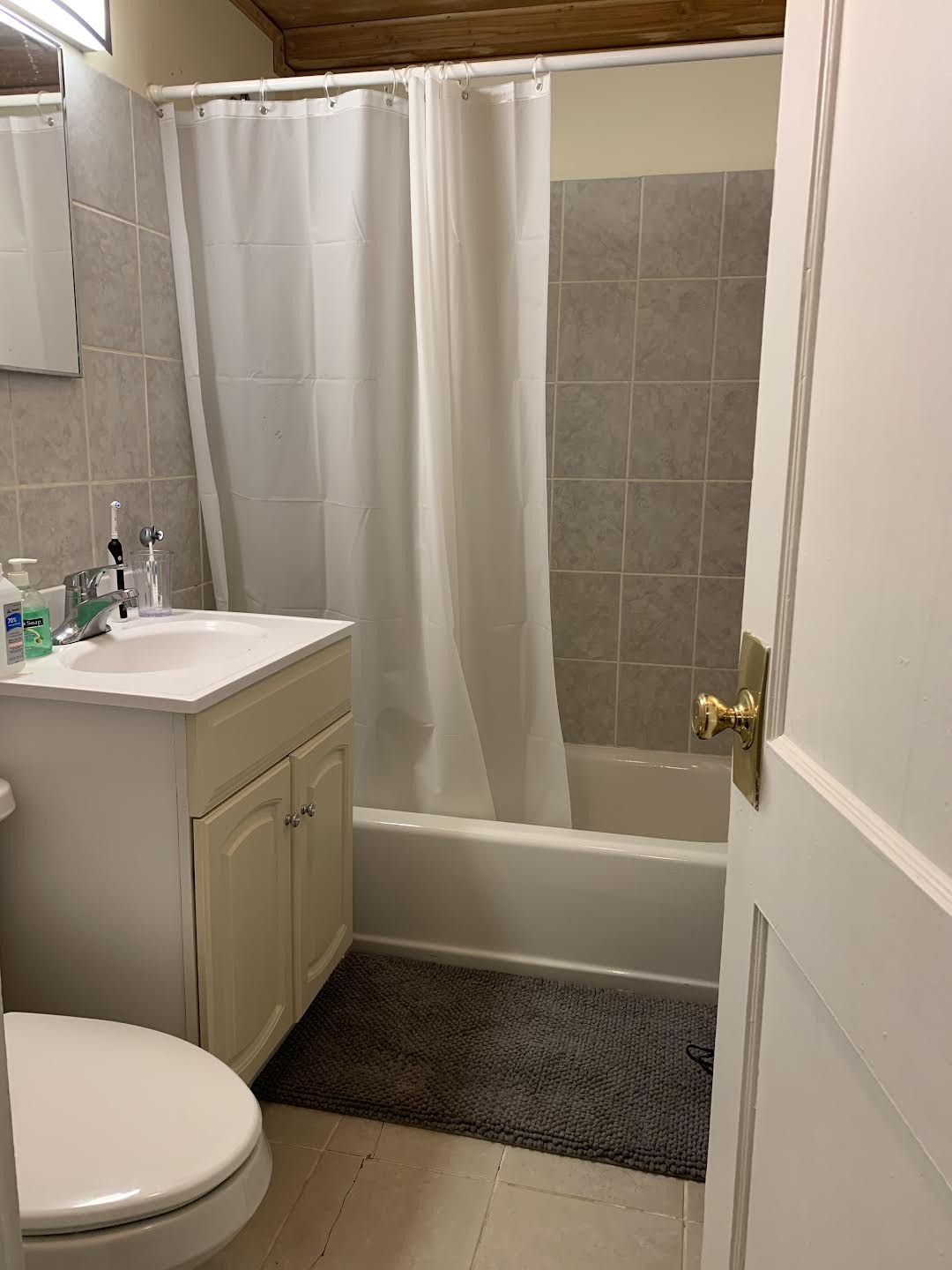 4 bed, 2 bath apartment for rent at 170 Thorndike St Unit 1, Coolidge Corner — photo 2 of 8