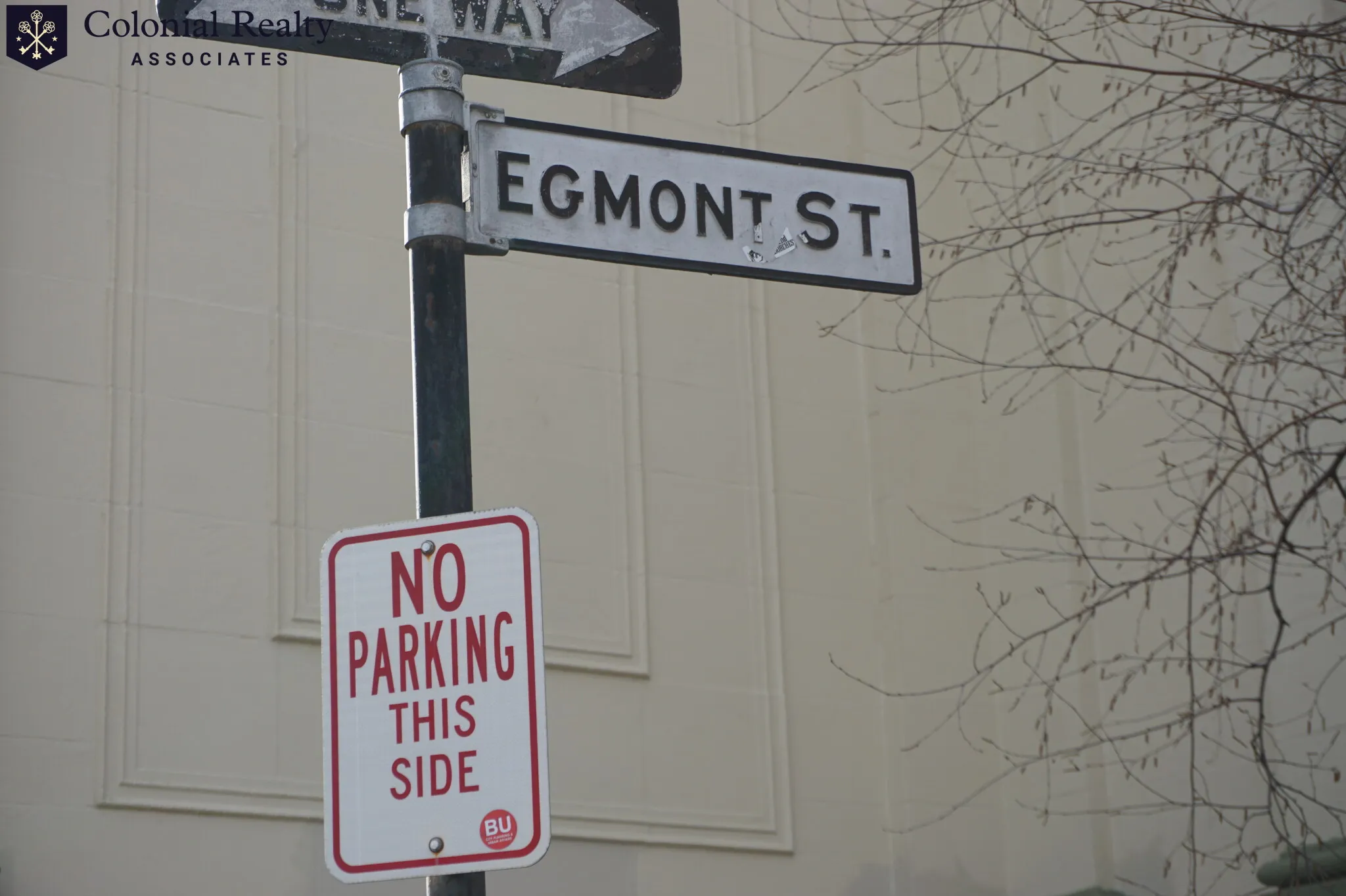 54 Egmont St, North Brookline