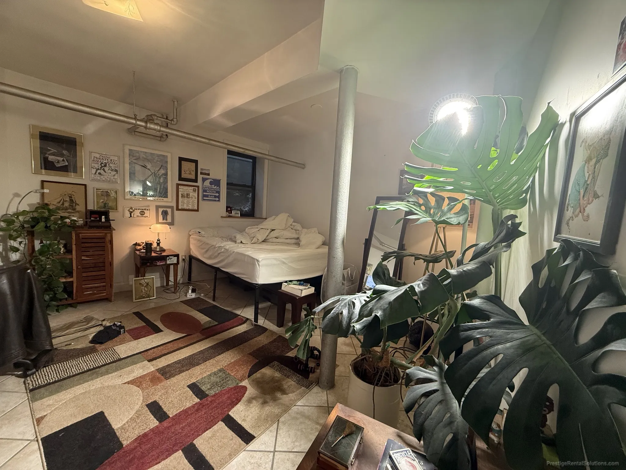 17 Cummings Rd, Brighton