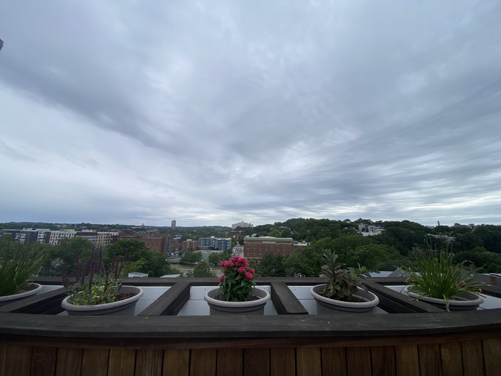 78 Fort Ave, Roxbury