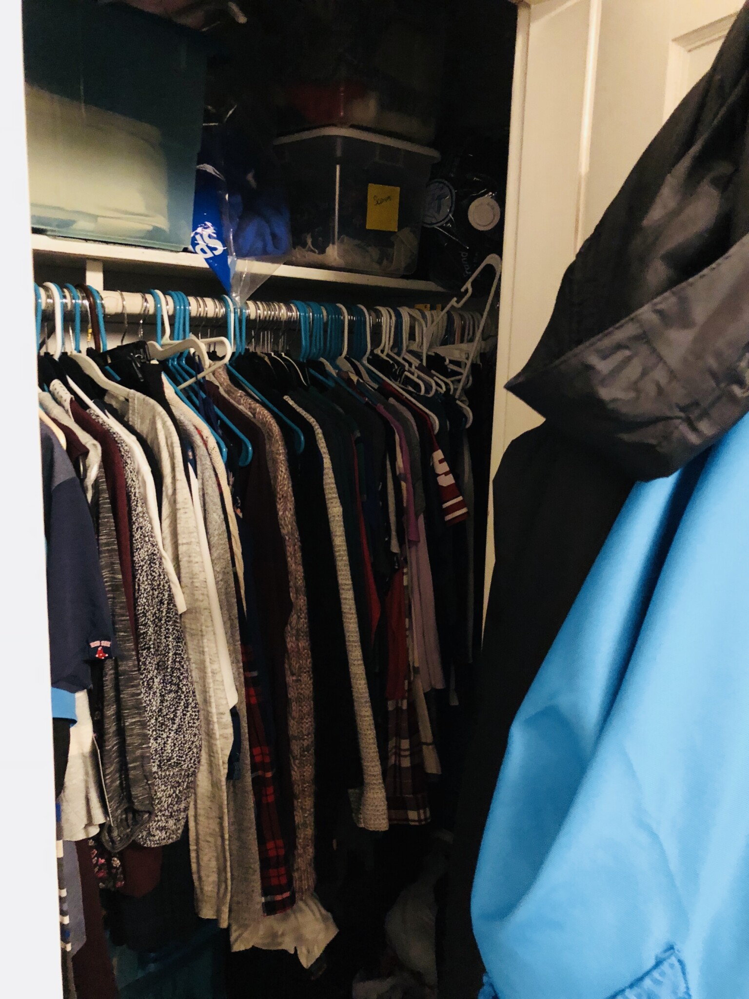 15 Scottfield Rd, Brighton