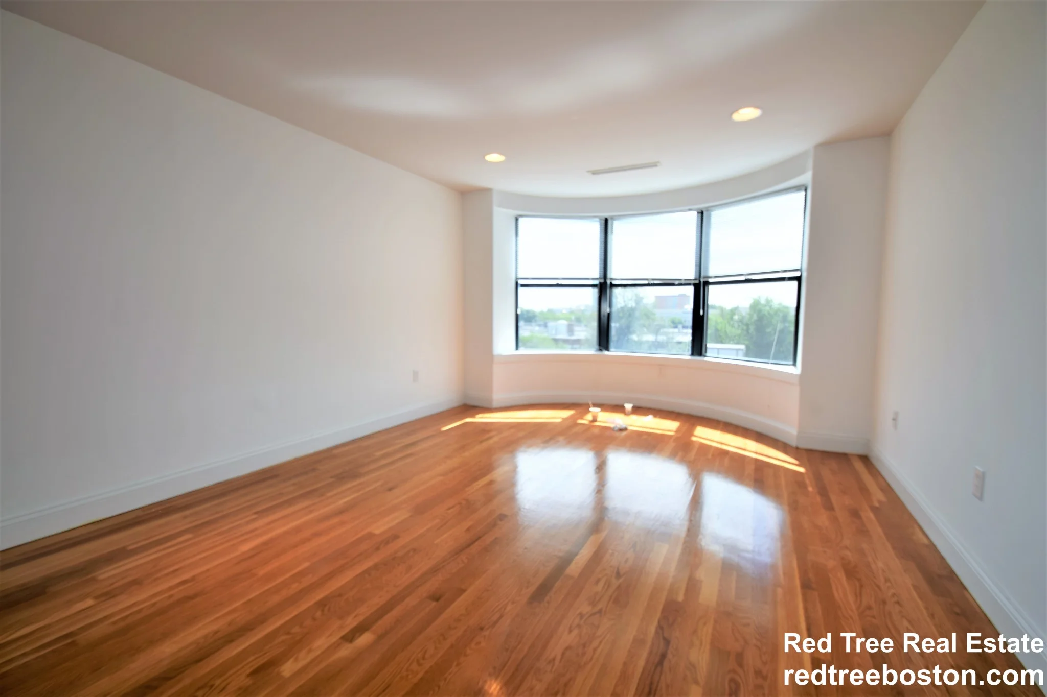 100 Jersey St, Fenway