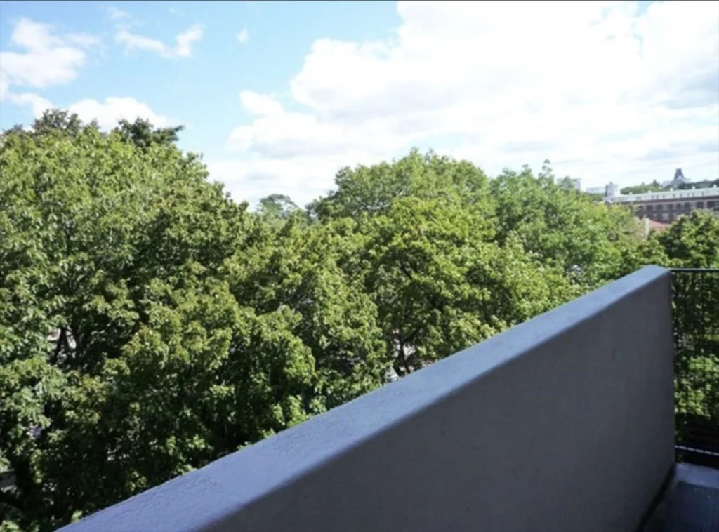 29 Concord Ave, Harvard Square