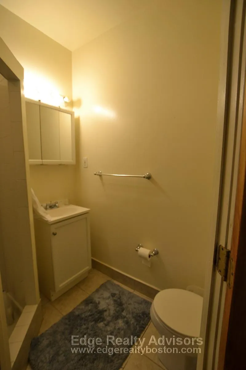 209 Chestnut Hill Ave, Brighton