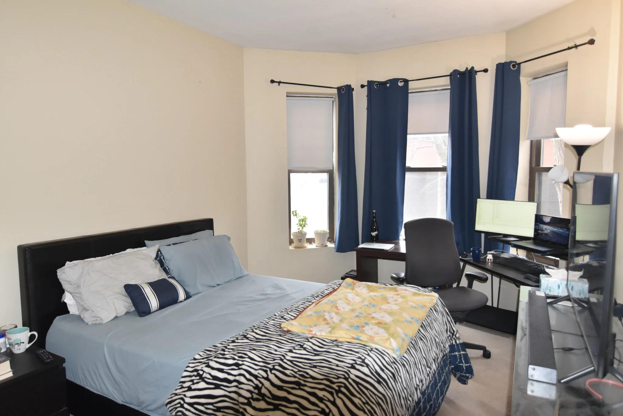 5 Royce Rd, Allston