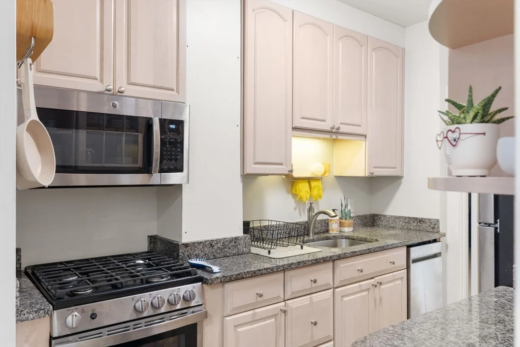 62 West Cedar St, Beacon Hill