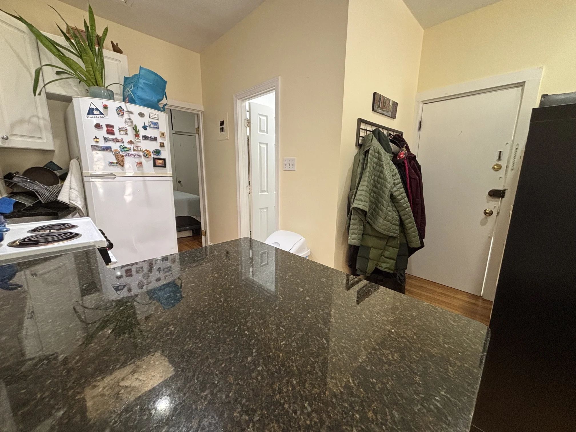 103 Charles St, Beacon Hill