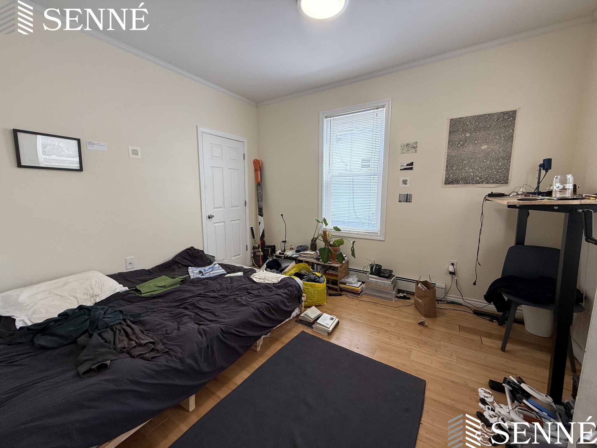 47 Dane St, Ward Two