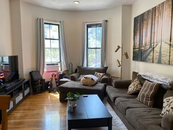 102 E Brookline St, South End