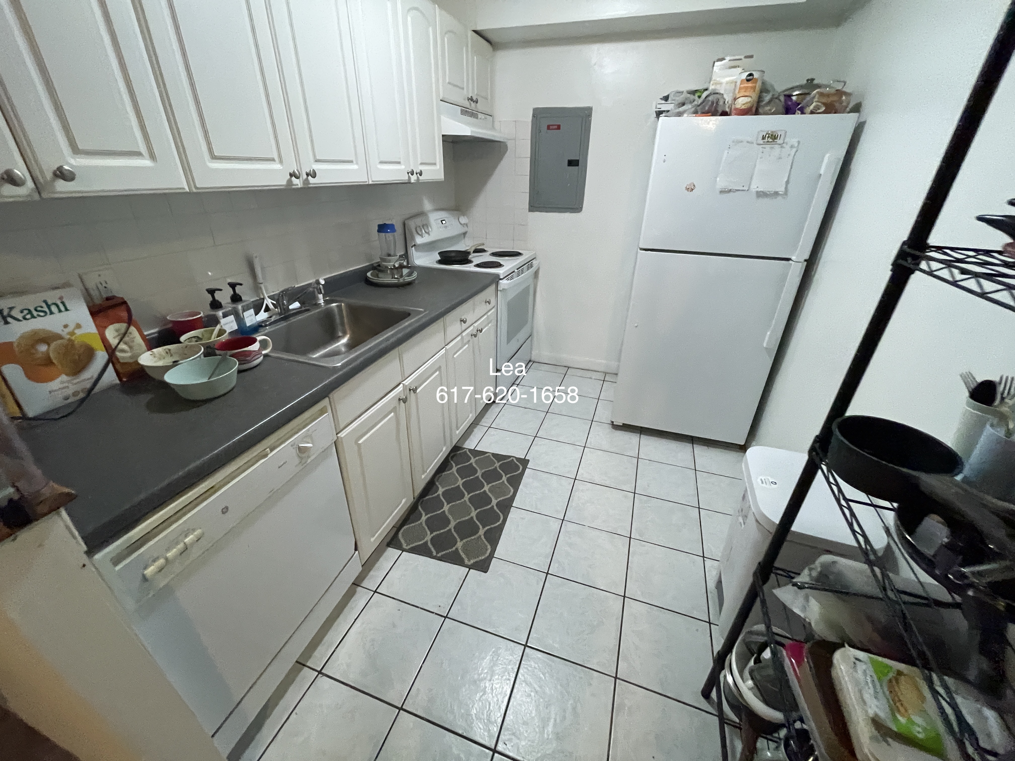 8 Griggs St, Brighton