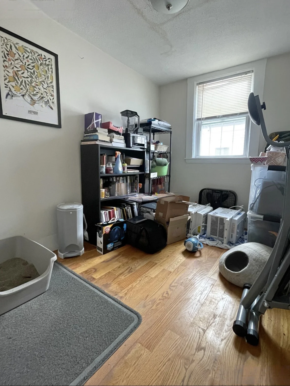 193 Hampshire St, Inman Square