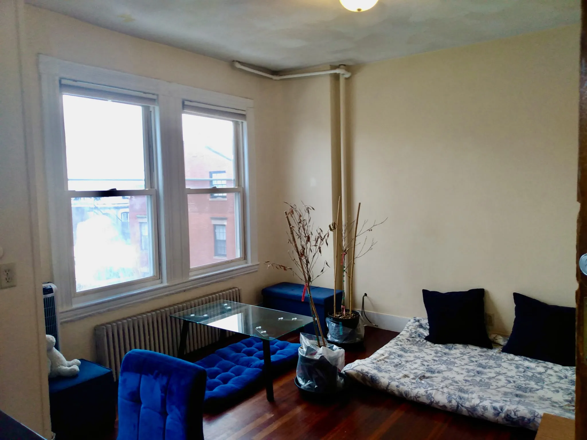 108 Myrtle St, Beacon Hill