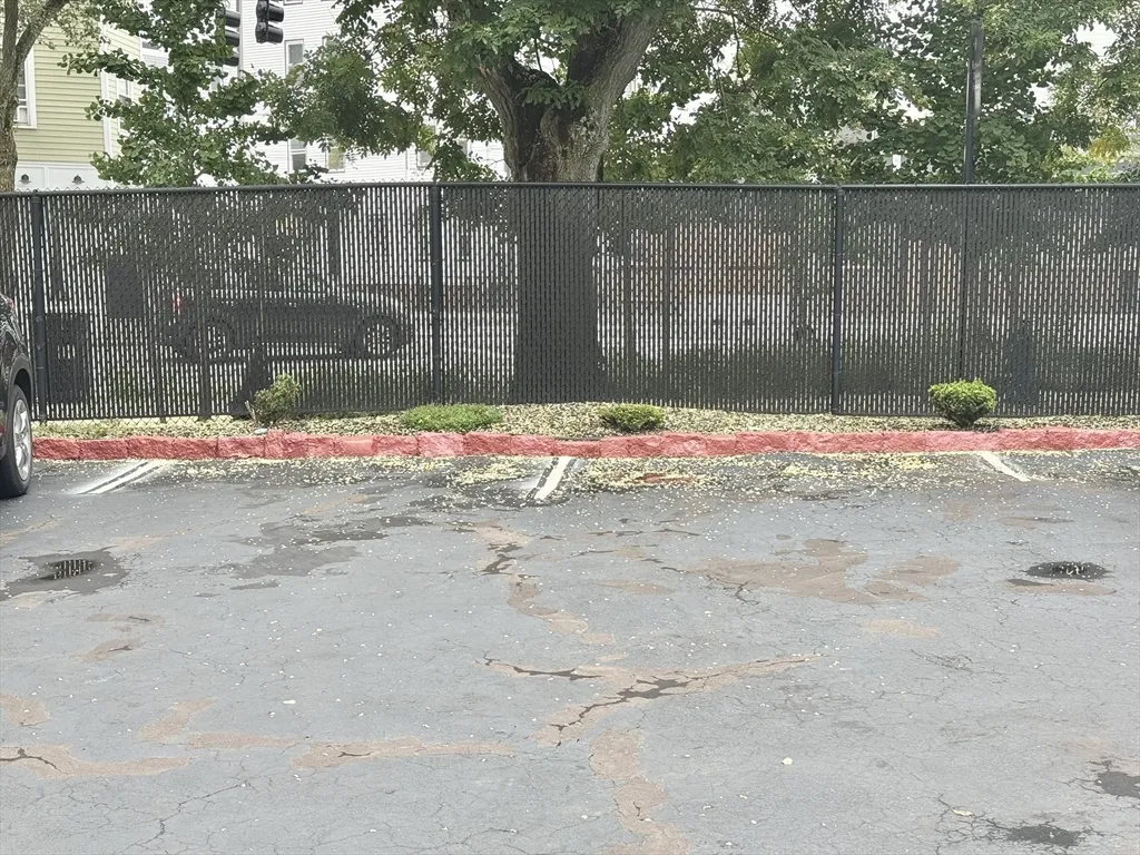 89 Hampshire St, Wellington-Harrington