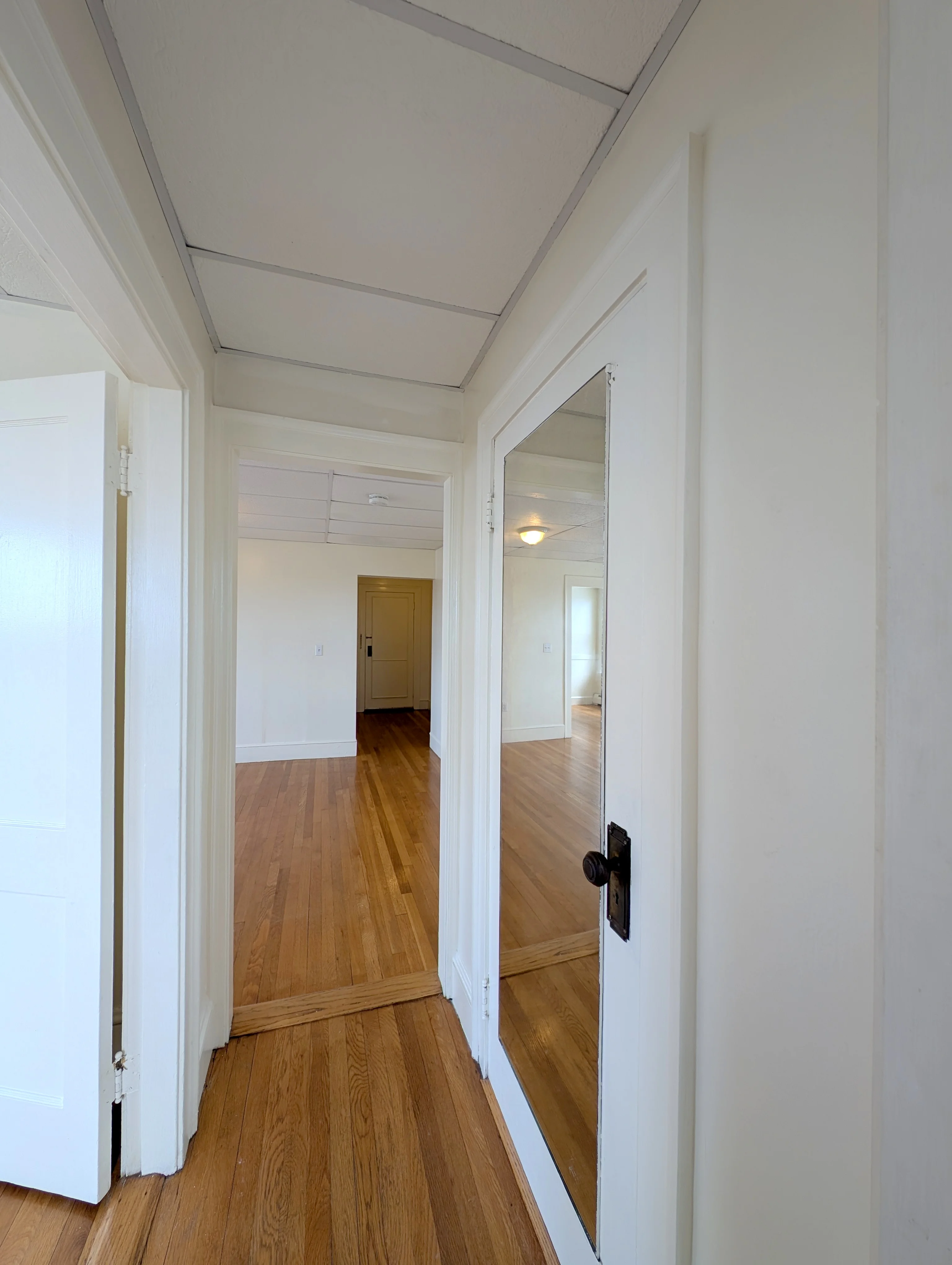 36 College Ave, Tufts