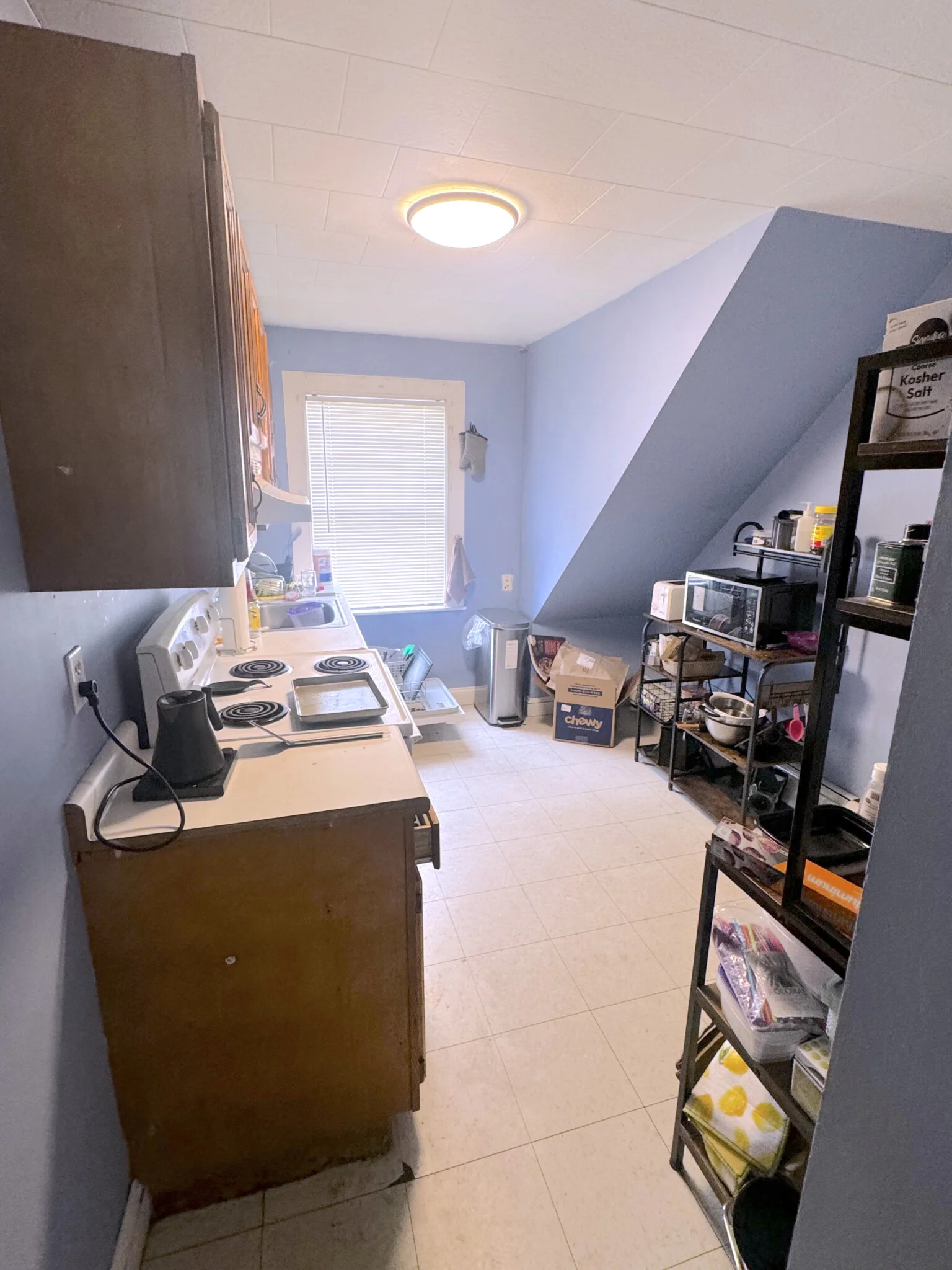 71 Aldie St, Allston