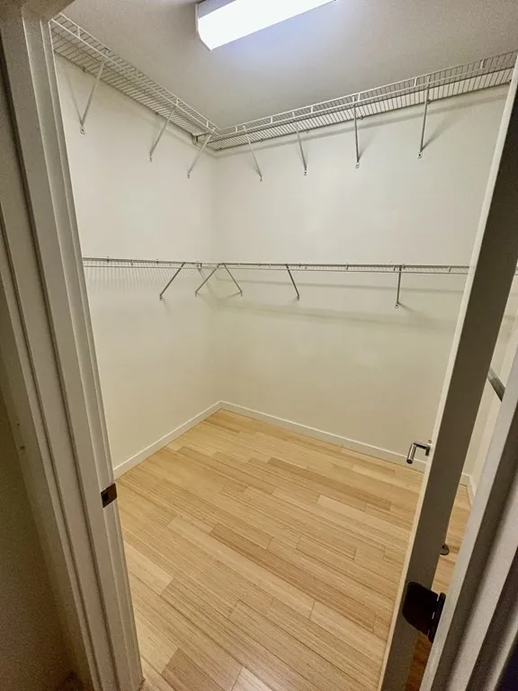 99 Chestnut Hill Ave, Brighton