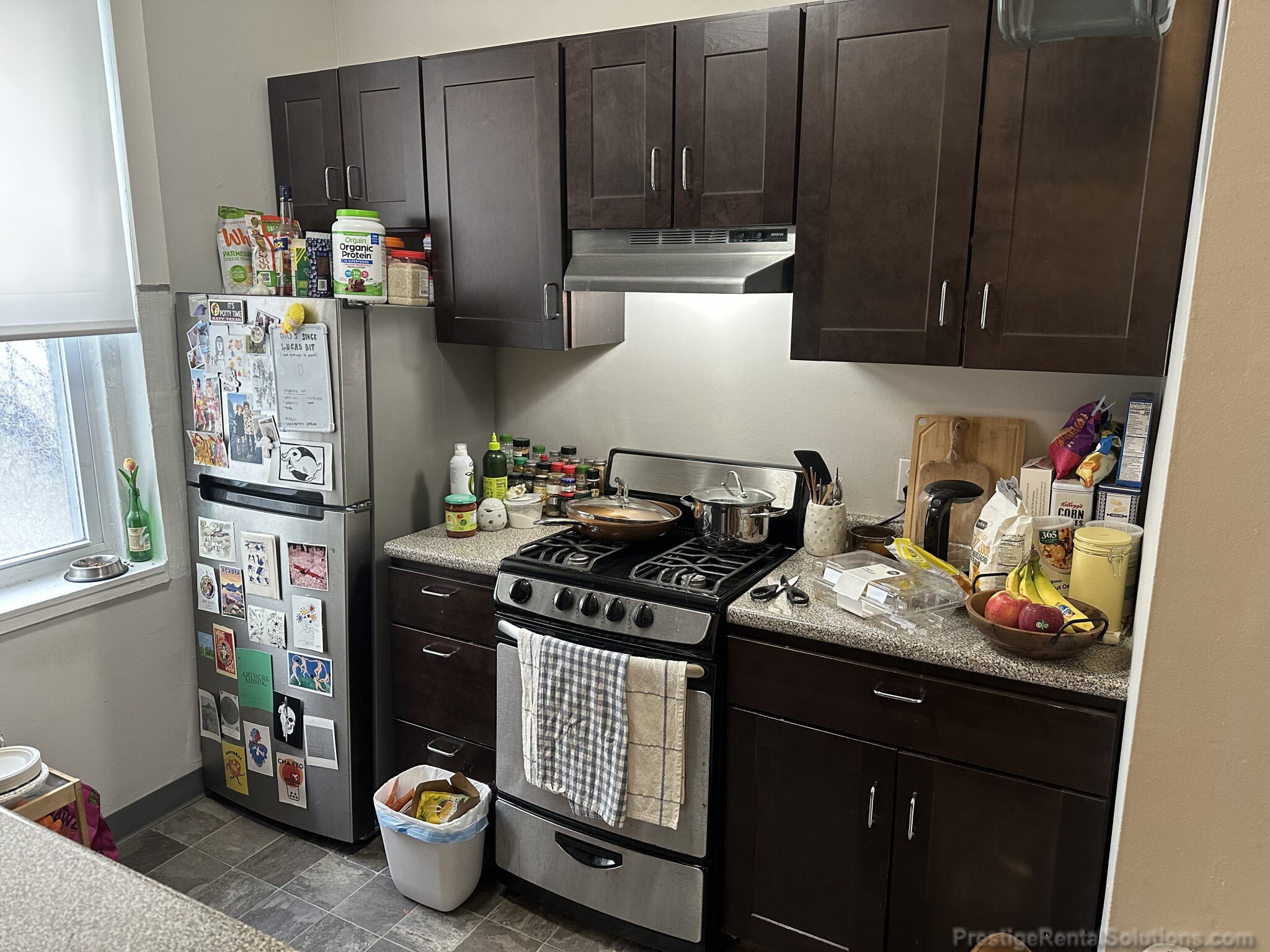 159 Kelton St, Brighton