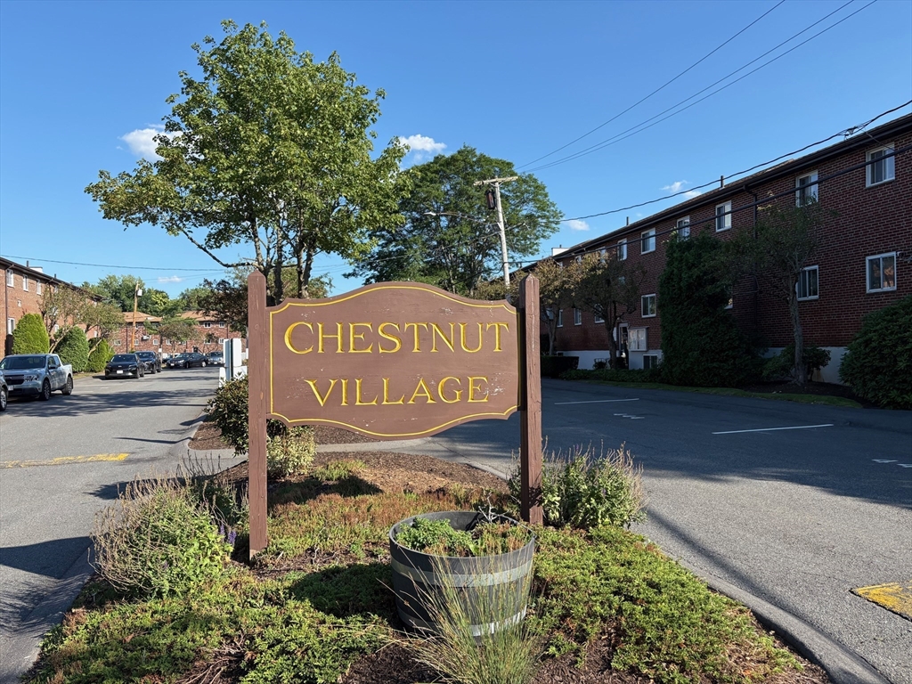 28 Bryon Rd, Chestnut Hill