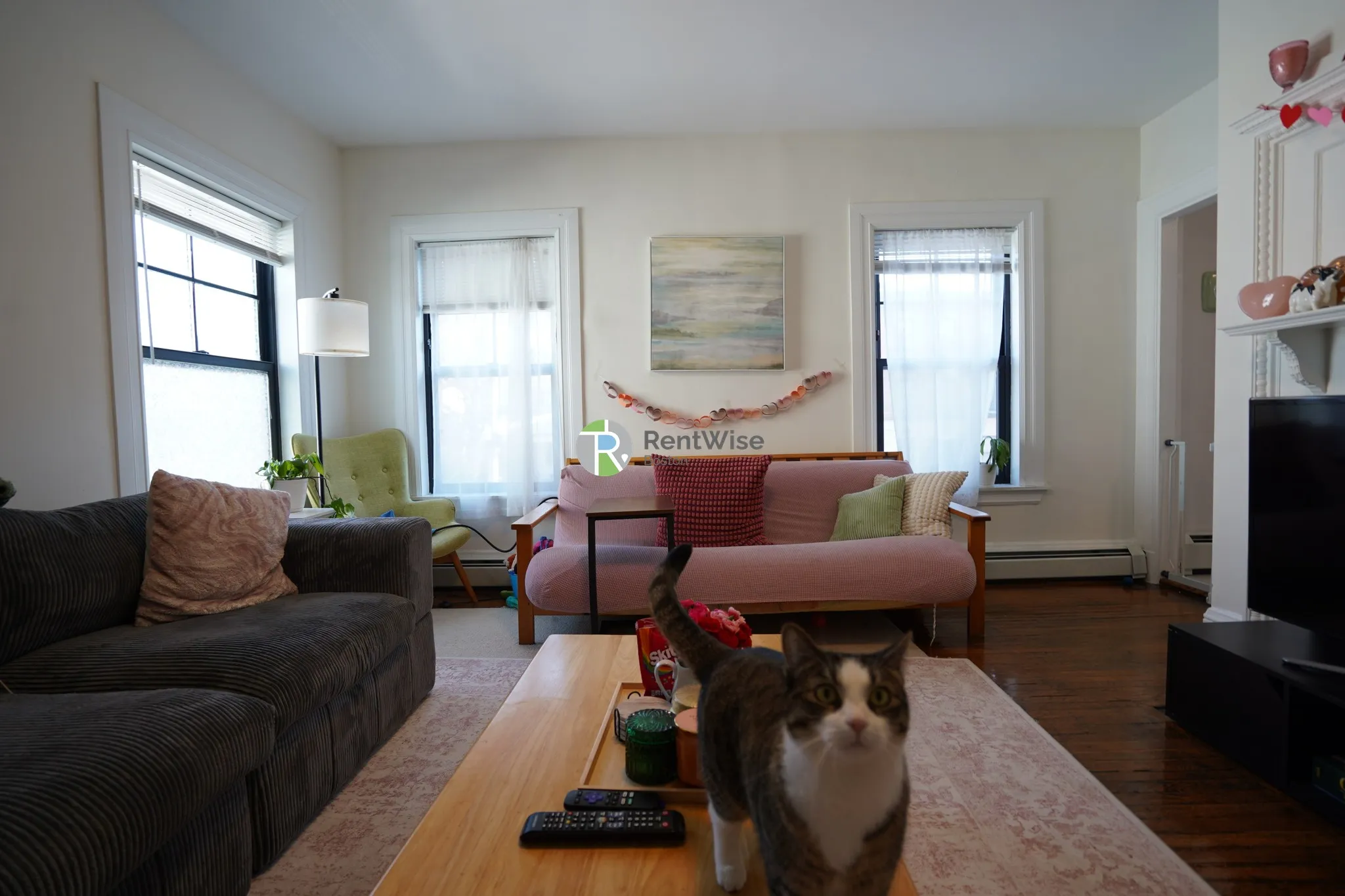 66 Chester St, Allston