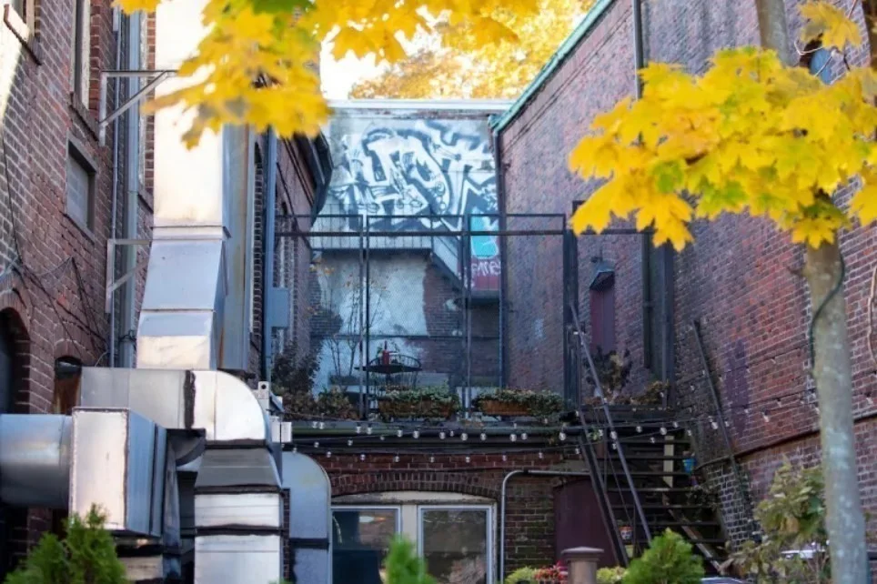 41 West St, Hyde Park