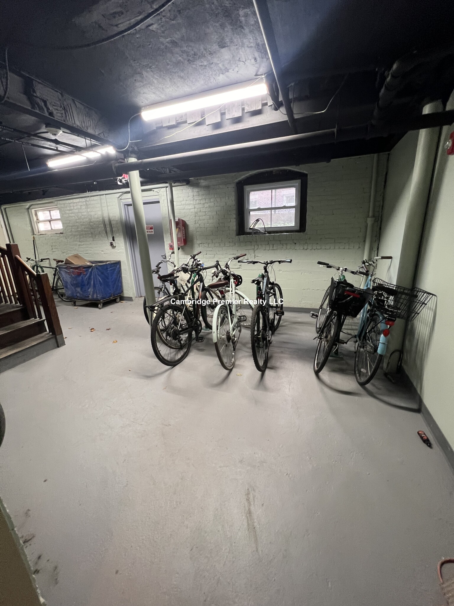 3 Linnaean St, Neighborhood Nine