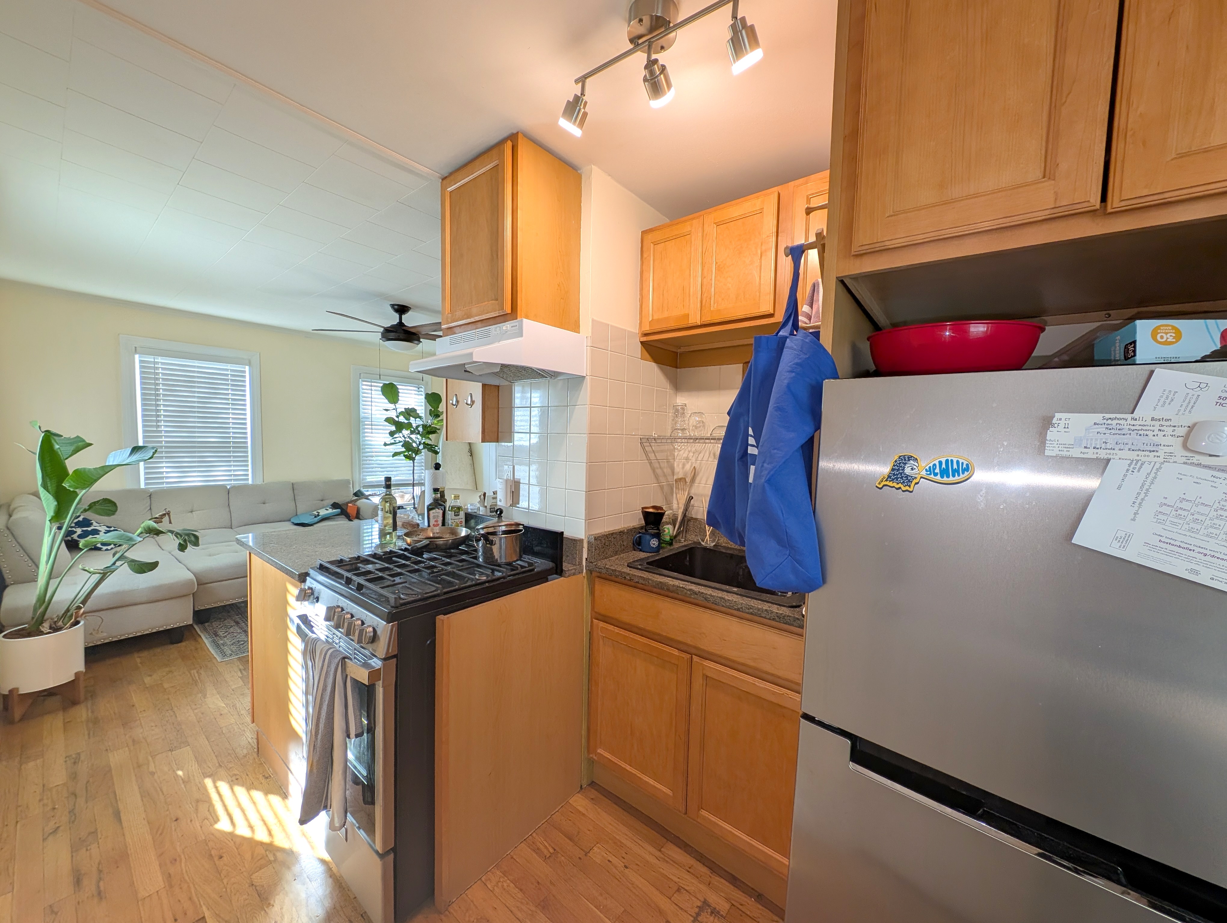 18 Union St, Wellington-Harrington