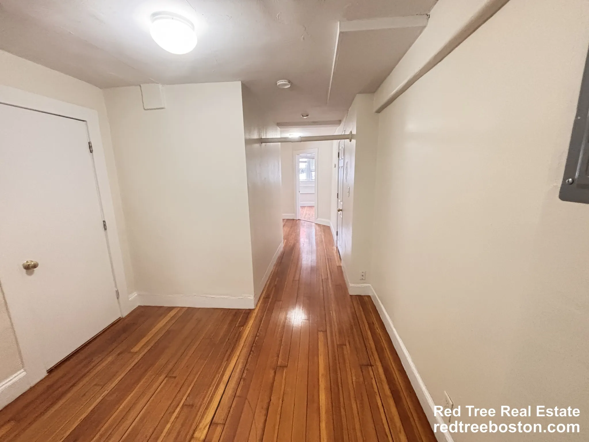 7 Mount Hood Rd, Brighton