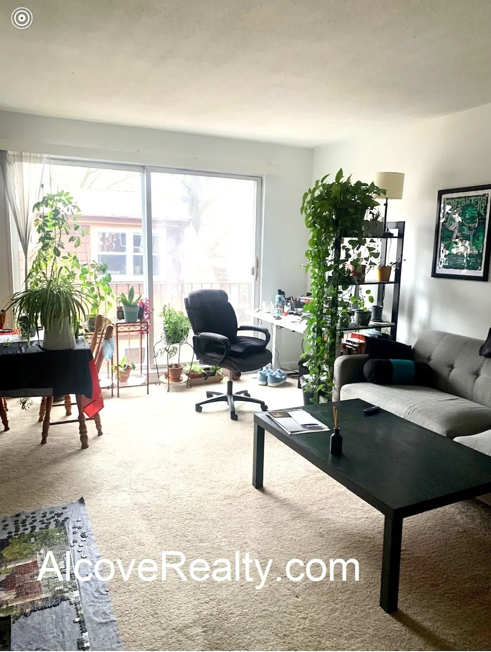 41 Belmont St, Spring Hill