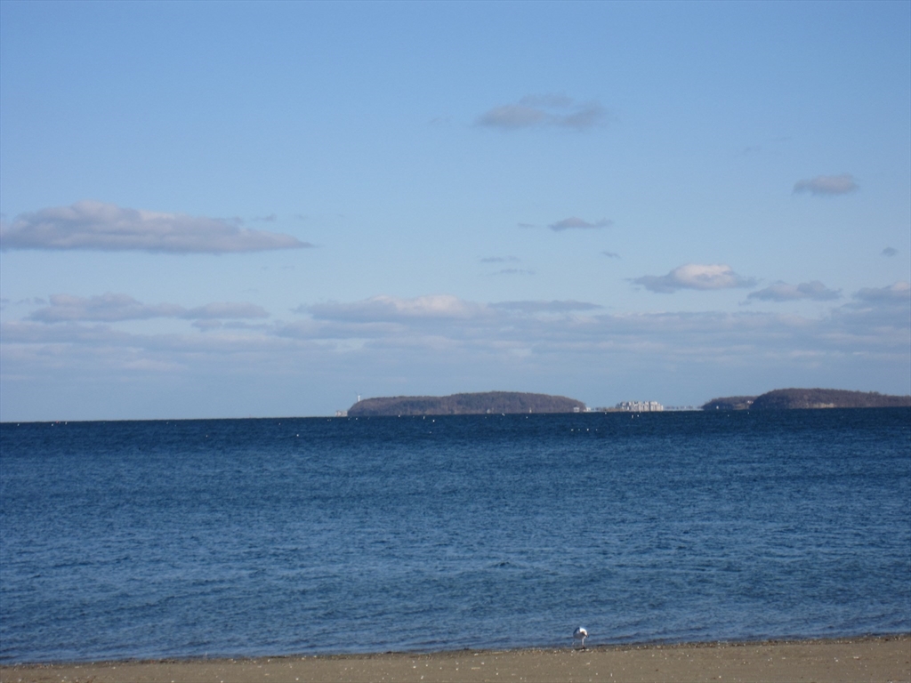 147 Rawson Rd, Quincy