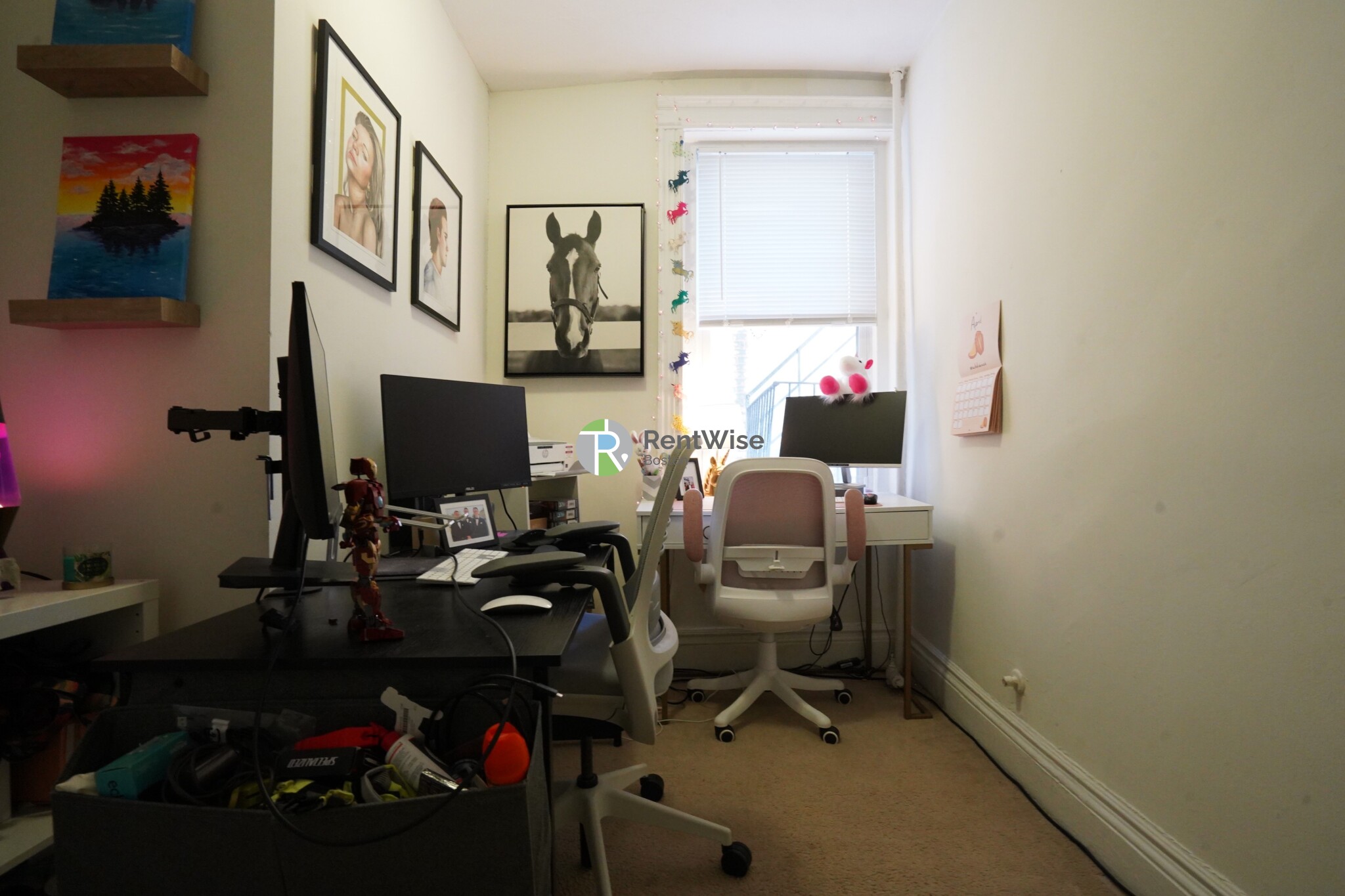 6 Camelot Ct, Brighton