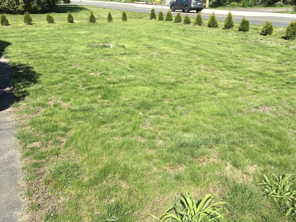 85 Park St, Mansfield