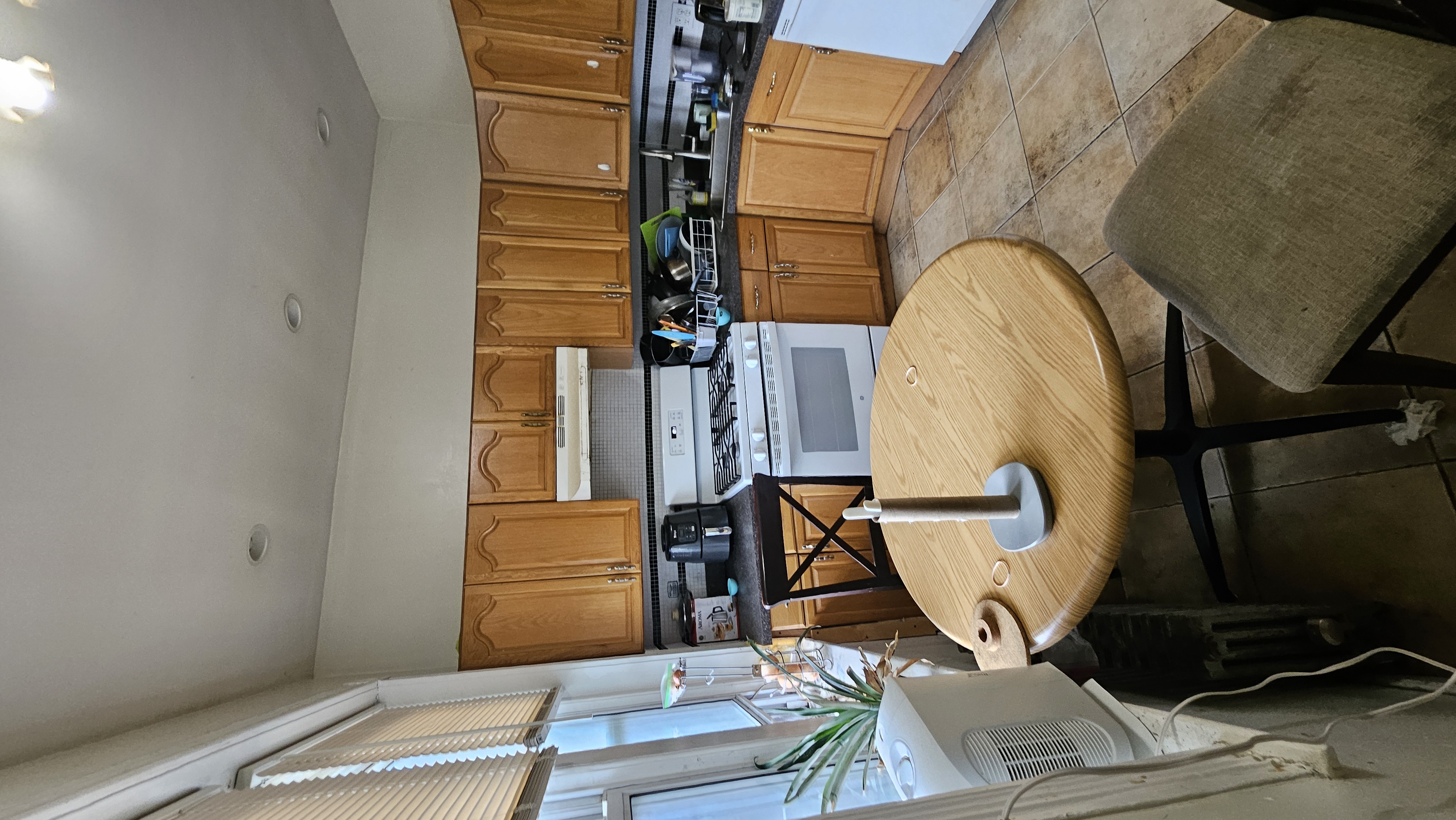 7 Price Rd, Brighton