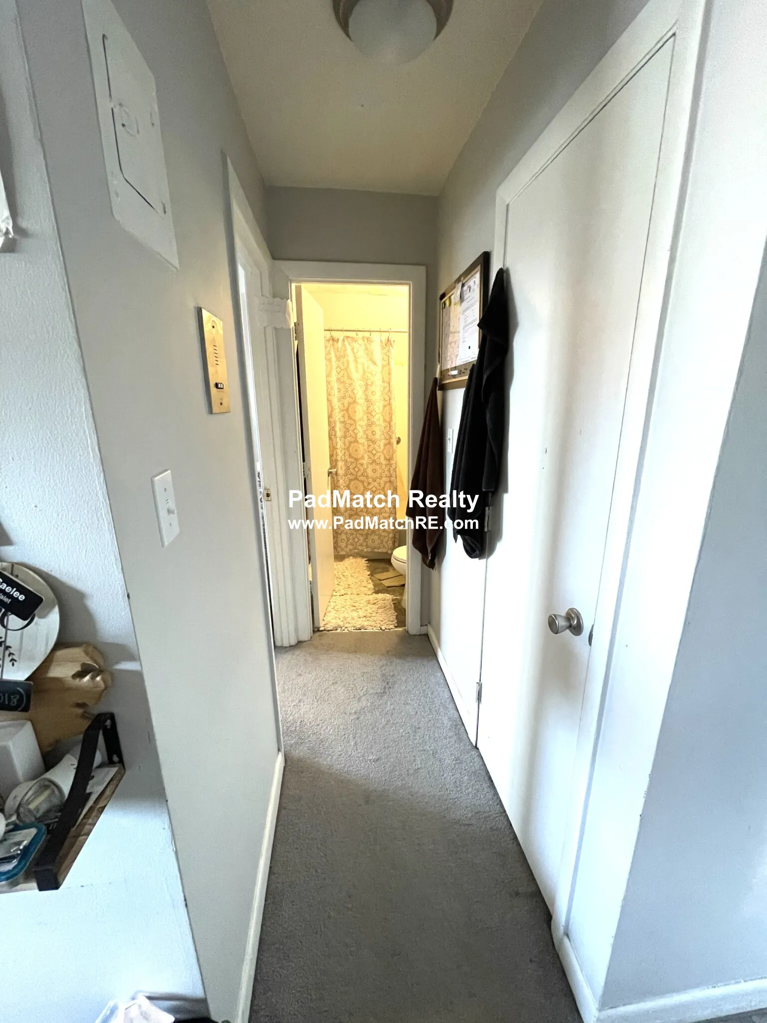 231 Harrison Ave, Chinatown