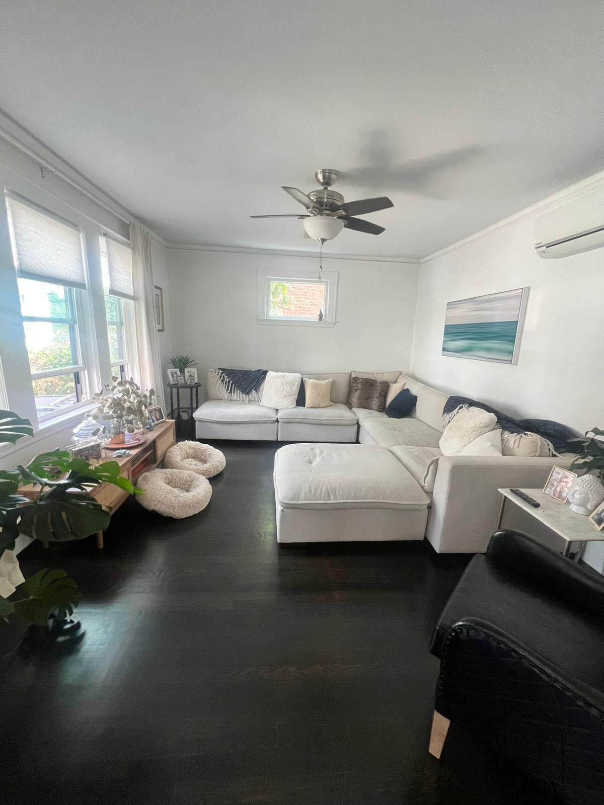 12 Bothwell Rd, Oak Square