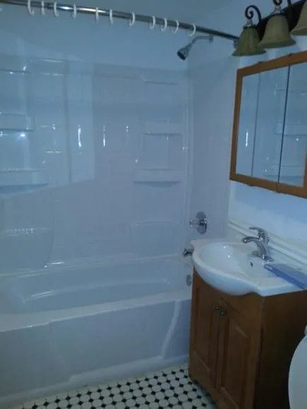 62 Egmont St, North Brookline