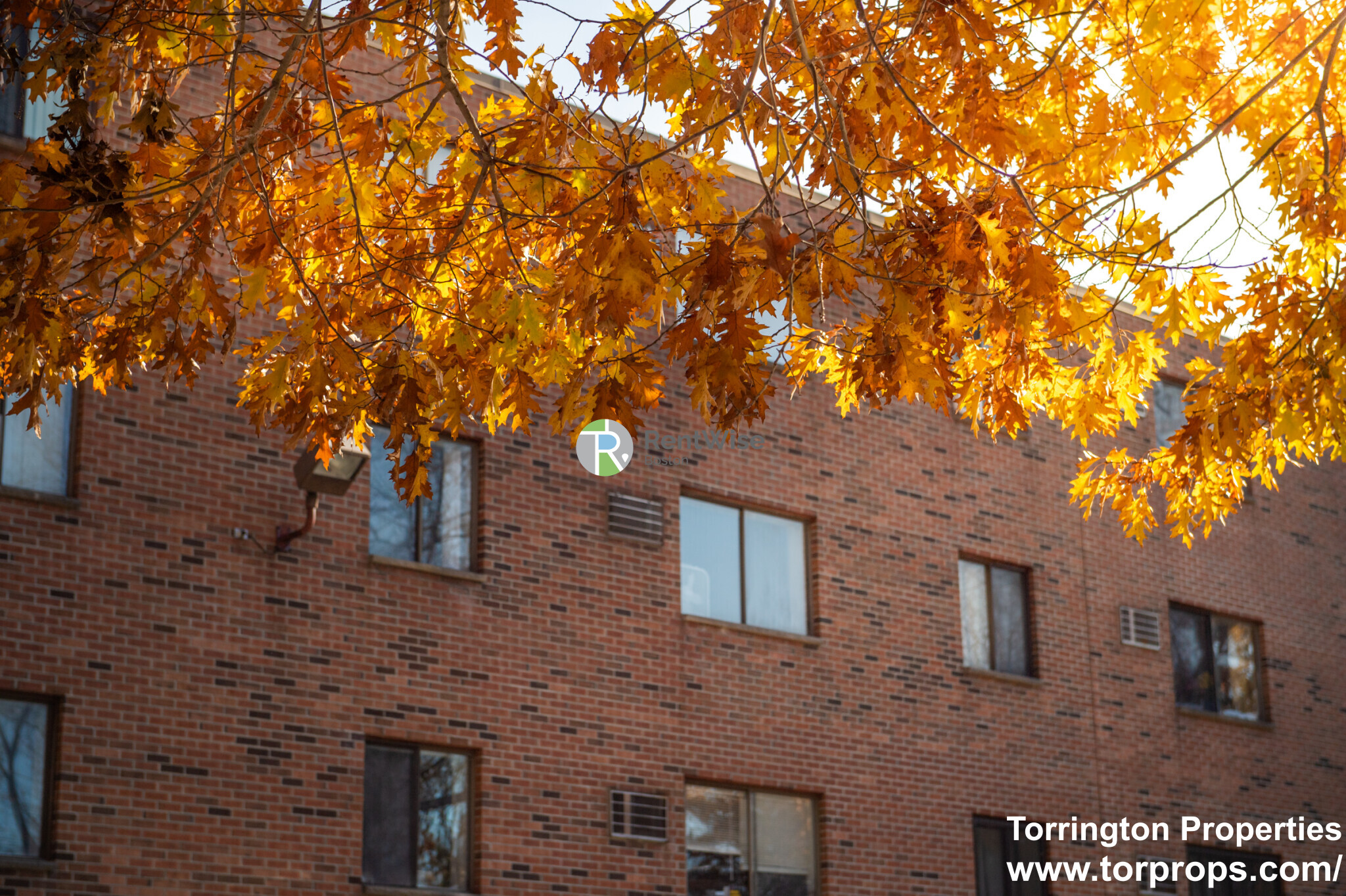 253 Hyde Park Ave, Jamaica Plain