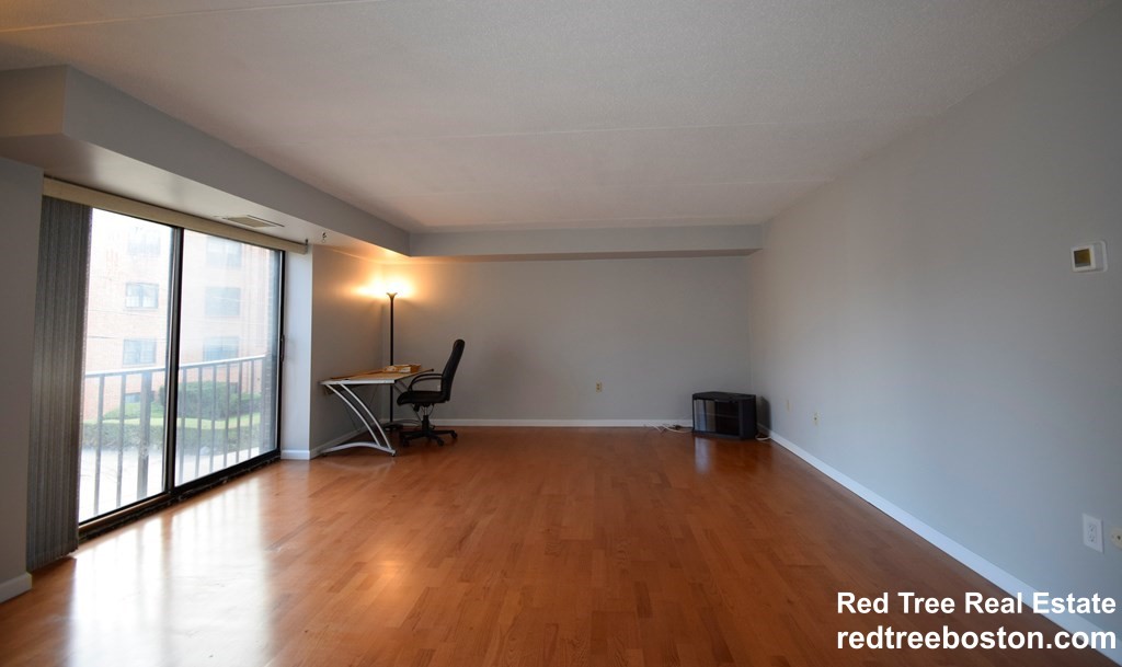 1243 Beacon St, Coolidge Corner South Side