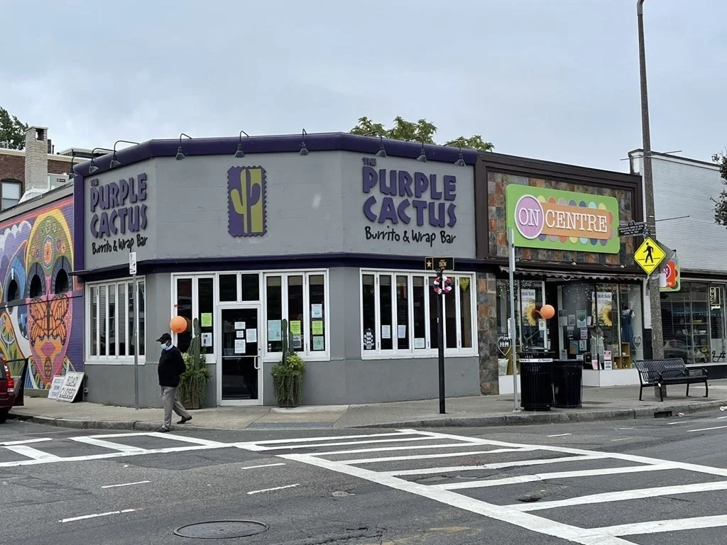 7 Lester Pl, Jamaica Plain