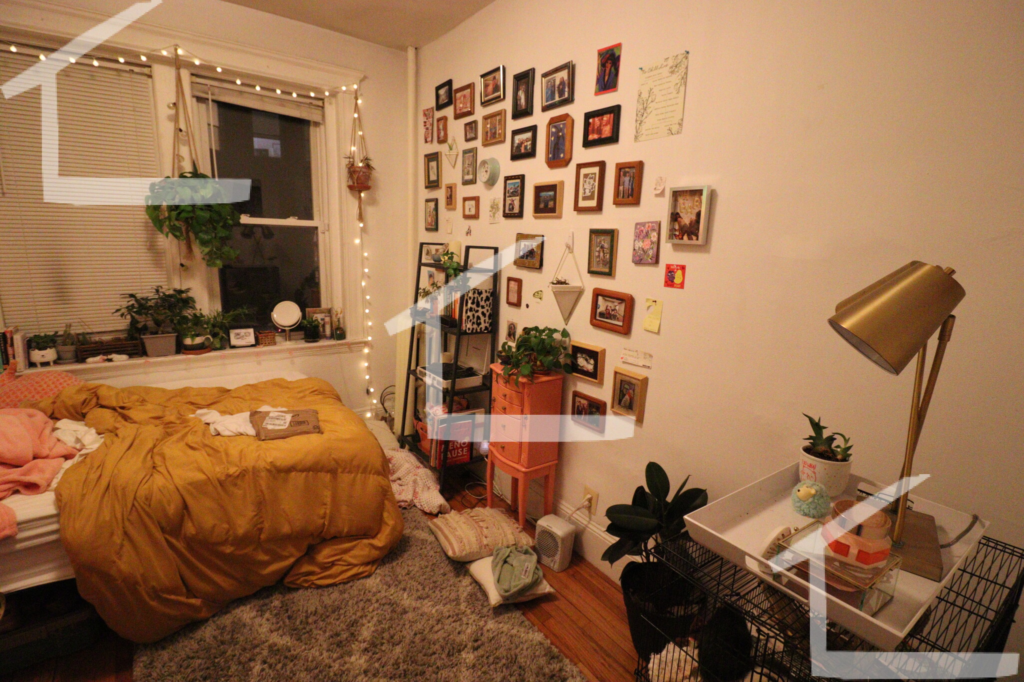 4 Price Rd, Brighton