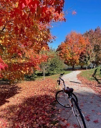 33 Pond Ave, Brookline Village