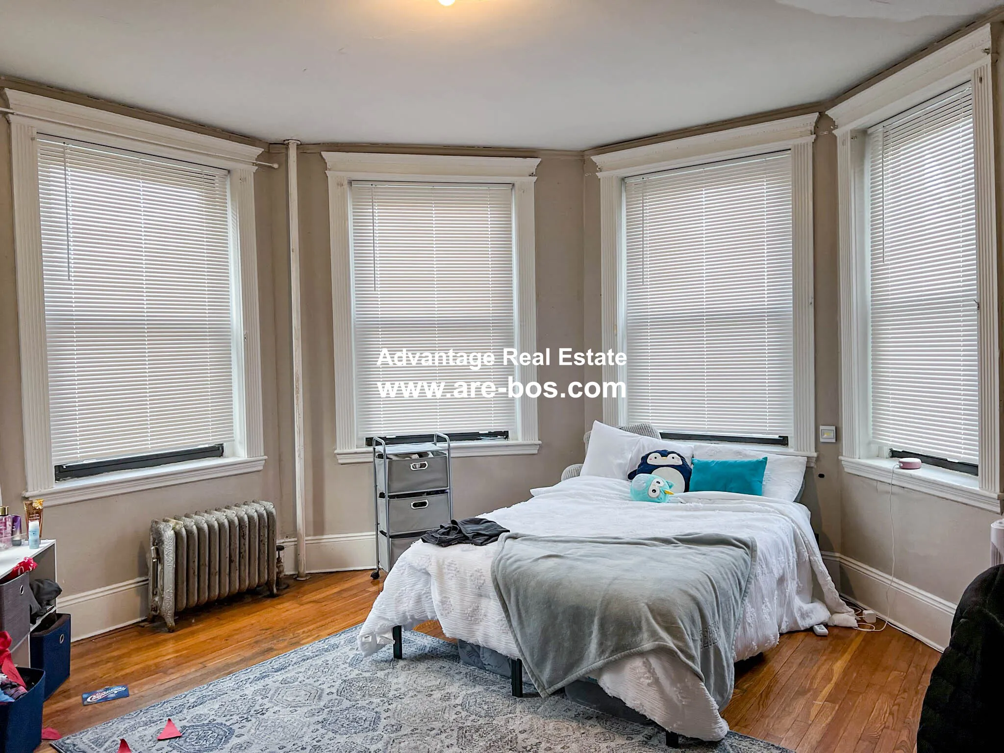 1066 Commonwealth Ave, Brighton