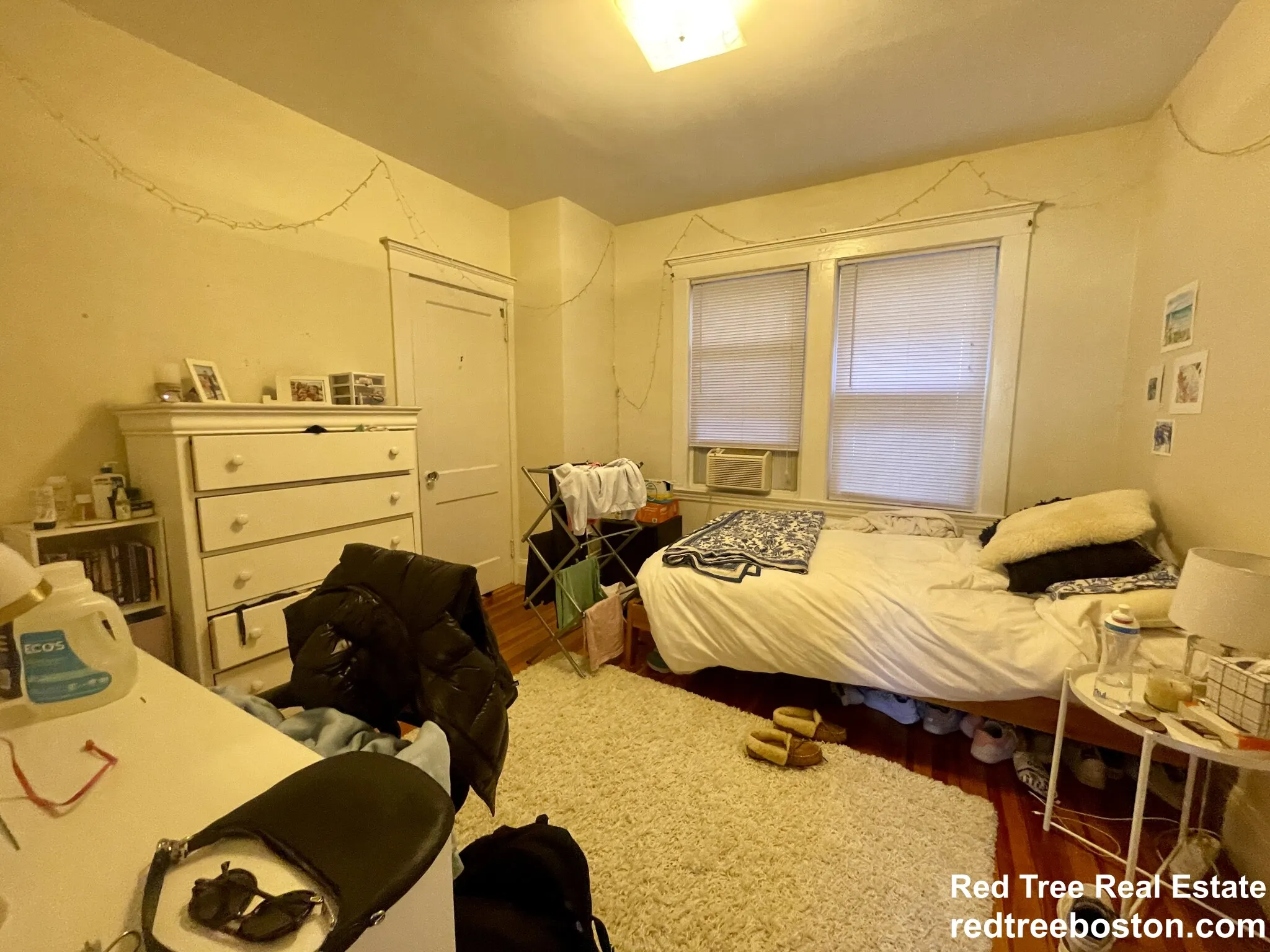 209 Chestnut Hill Ave, Brighton