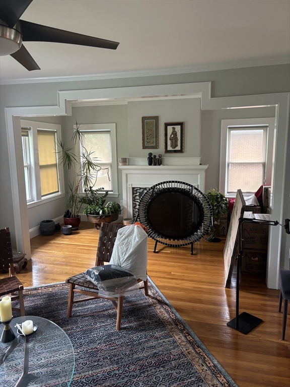 569 Commonwealth Ave, Newton