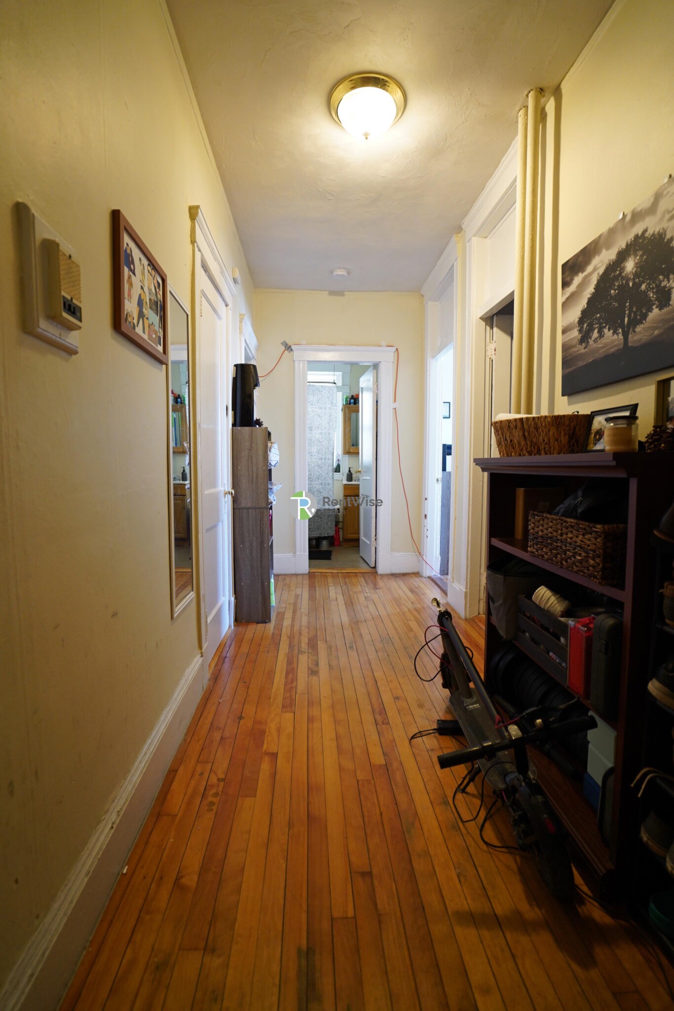 165 Kelton St, Brighton