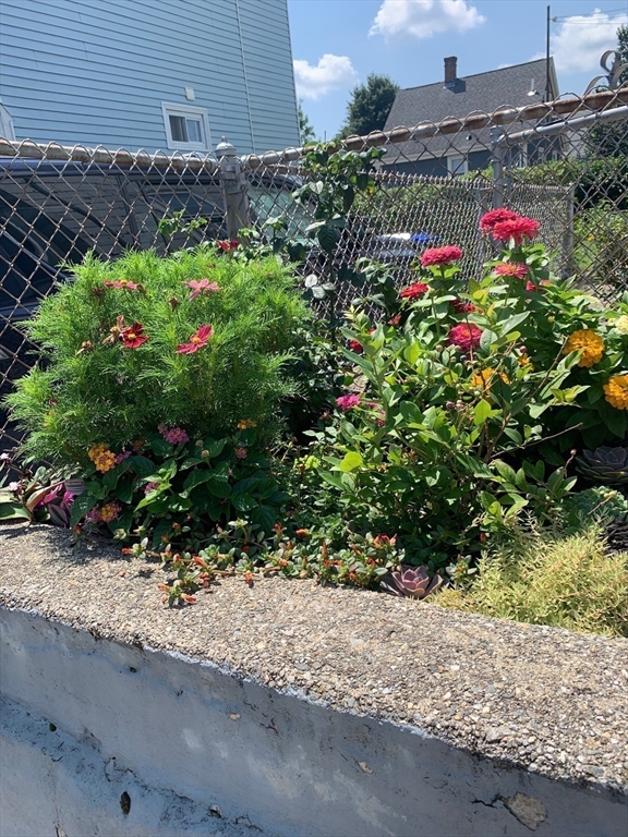 35 Joseph St, Medford