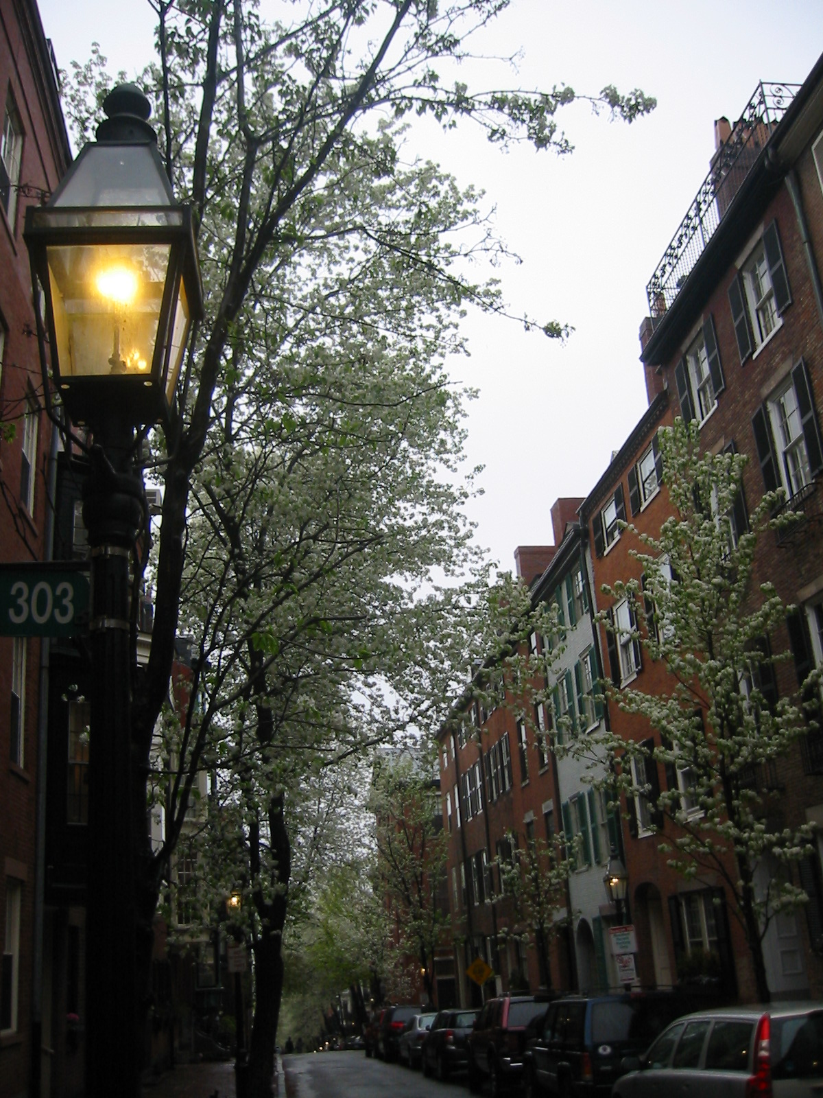 1 bed, 1 bath apartment for rent at 30 Pinckney St Unit 4, Beacon Hill — photo 8 of 9