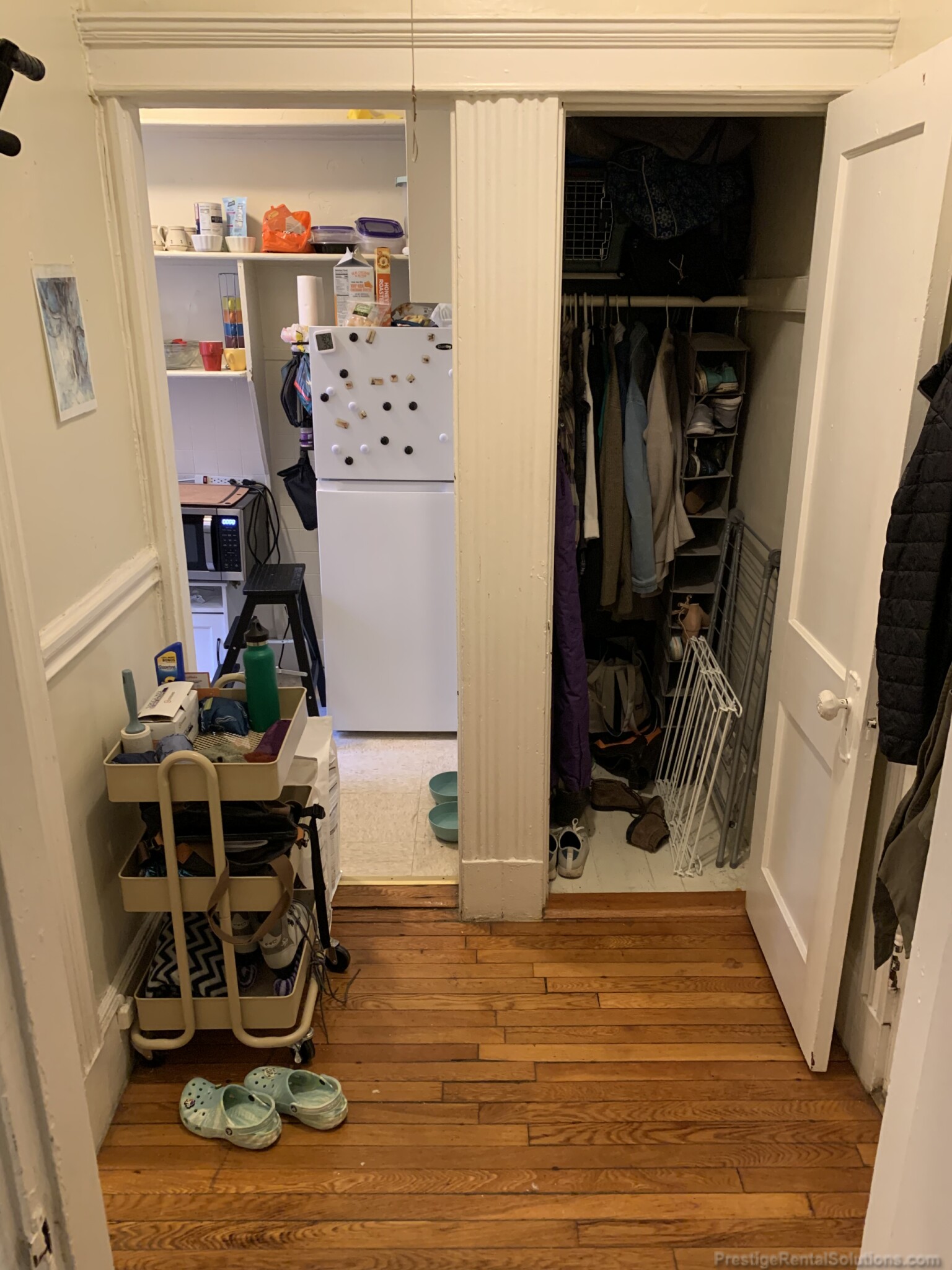 11 Royce Rd, Brighton