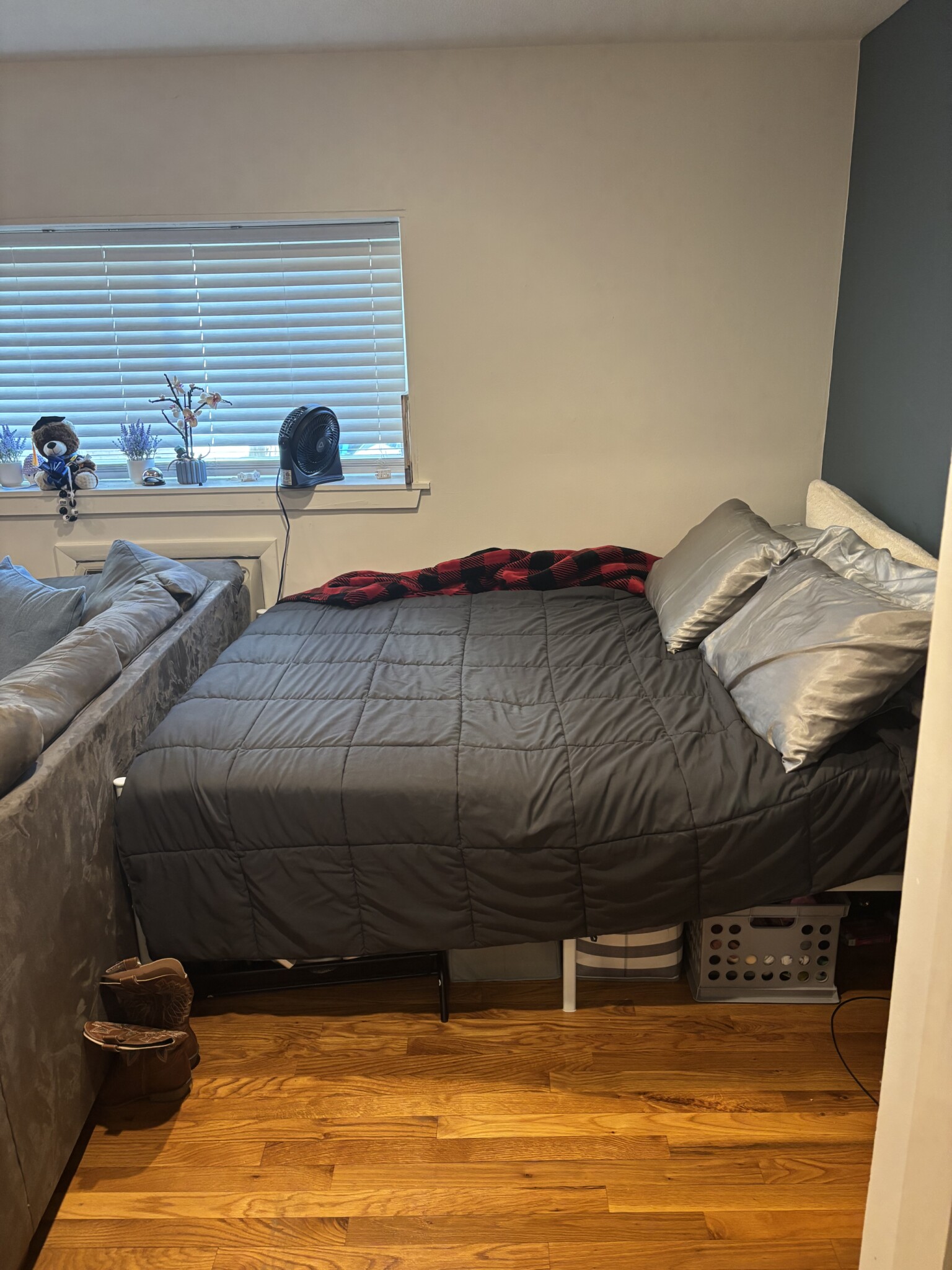 15 Euston Rd, Brighton