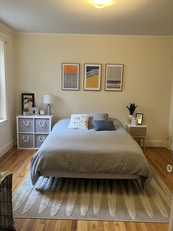 43 Linnaean St, Neighborhood Nine