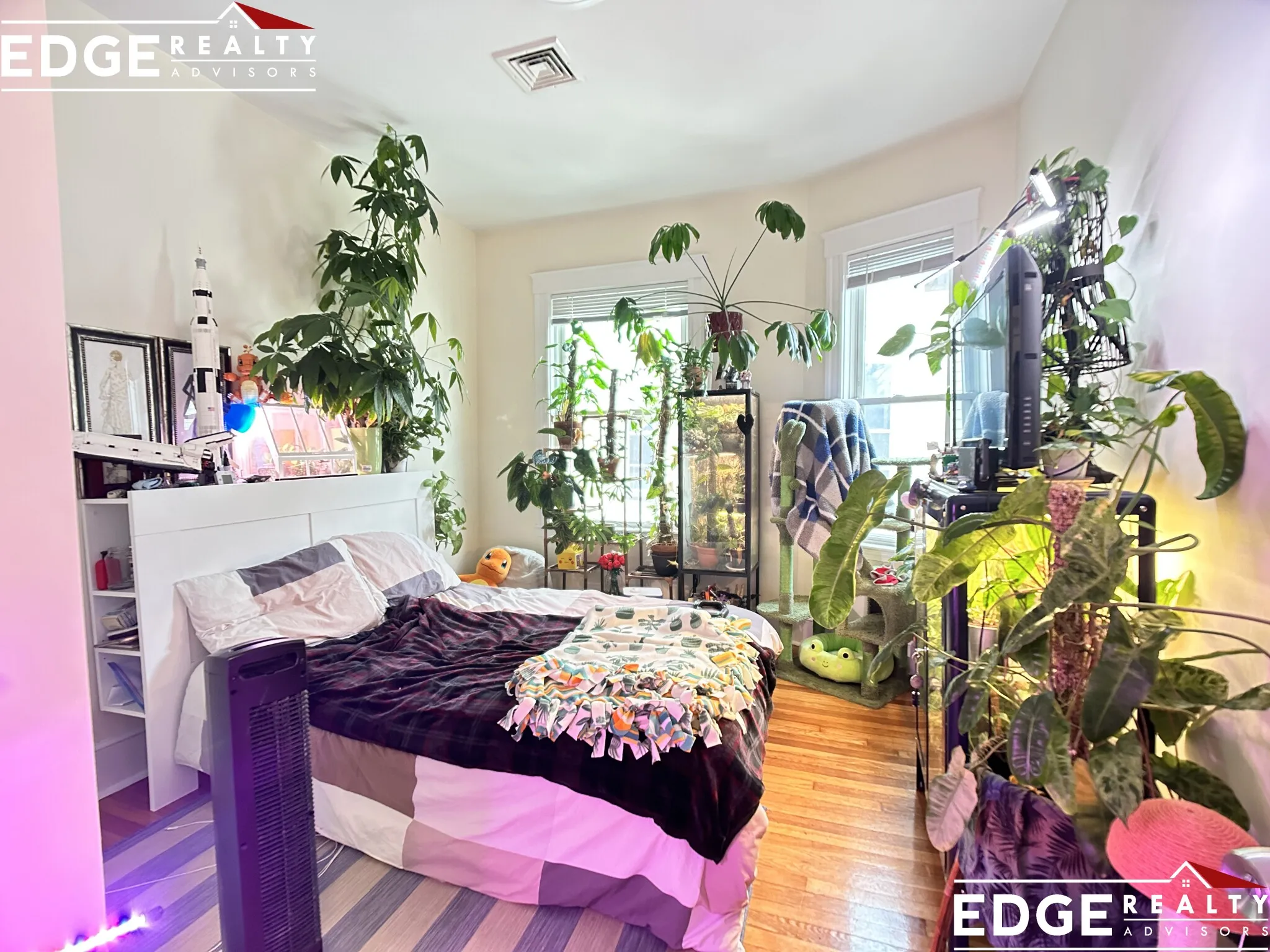 74 Aldie St, Allston